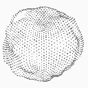 Ecosystem-Shifts-white.gif